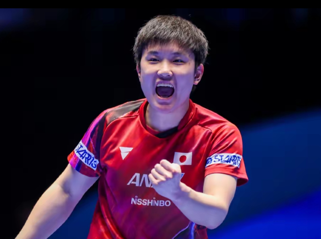 可以看到 可以看到