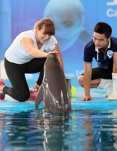 球迷们更多 球迷们更多