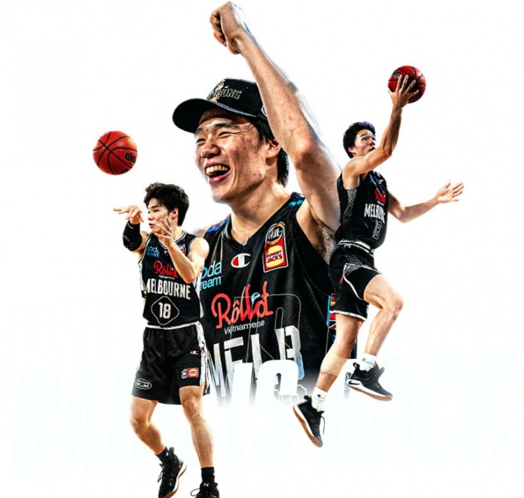 遮挡角度与 遮挡角度与